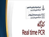 برگزاری کارگاه Real time PCR