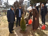 به مناسبت روز درختکاری صورت گرفت